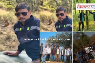 In Ranthambore, rules were flouted as young men took selfies with tigers sitting on the bonnet of a car.