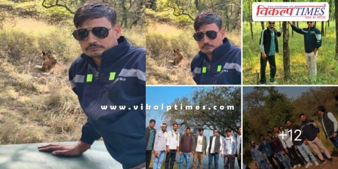 In Ranthambore, rules were flouted as young men took selfies with tigers sitting on the bonnet of a car.