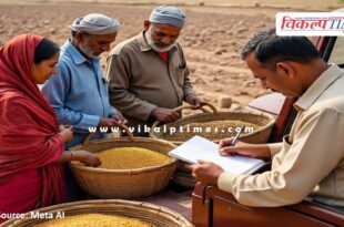Pulses and oilseeds will be purchased from farmers at the support price in rajasthan