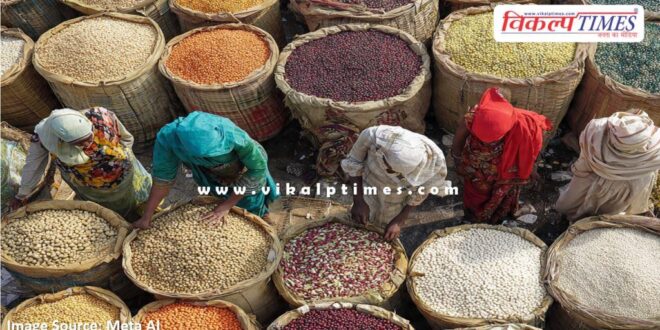 Urad procurement begins at support price in sawai madhopur