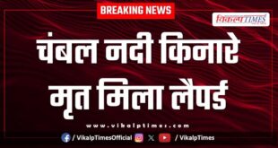 Wildlife animal leopard kota sawai madhopur news 13 nov 25