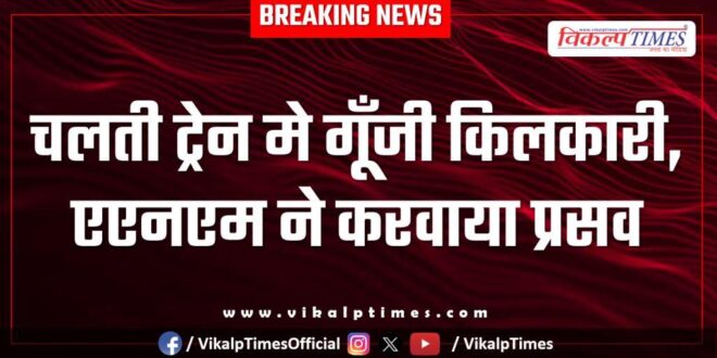 Woman gives birth to a child in a moving train in sawai madhopur