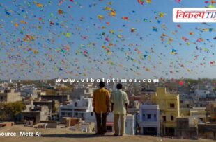 Advisory issued to districts regarding kite flying on the occasion of Makar Sankranti