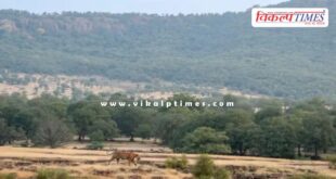 Congress leader Pawan Khera targeted the BJP regarding the Aravalli issue.