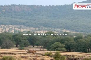 Congress leader Pawan Khera targeted the BJP regarding the Aravalli issue.