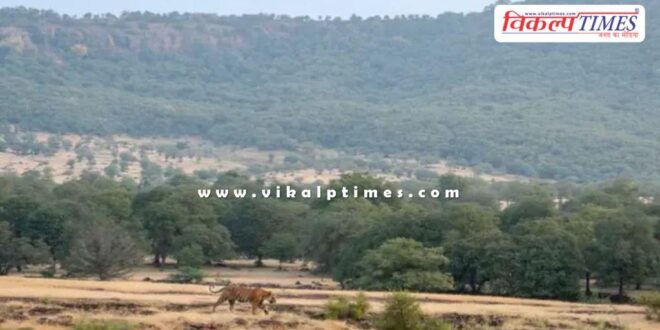 Congress leader Pawan Khera targeted the BJP regarding the Aravalli issue.