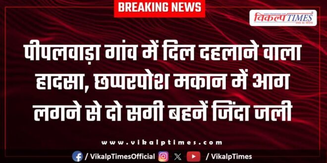 Fire incident in pipalvara village malarna dungar Sawai Madhopur