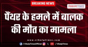 Innocent child panther jungle sawai madhopur news update 12 Dec 25