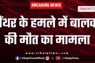Innocent child panther jungle sawai madhopur news update 12 Dec 25