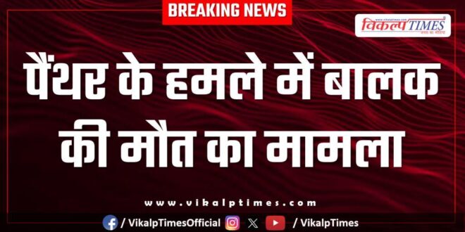 Innocent child panther jungle sawai madhopur news update 12 Dec 25