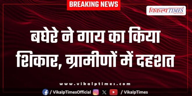 Leopard Cow amber village jaipur news 03 Dec 2025