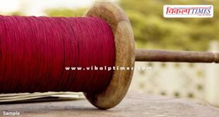 Metal Manjha (Chinese) makar sankranti sawai madhopur news 20 Dec 25