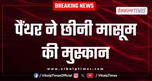 Panther child sawai madhopur ranthambore news 12 Dec 25