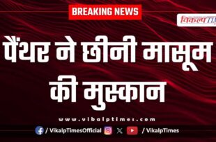 Panther child sawai madhopur ranthambore news 12 Dec 25