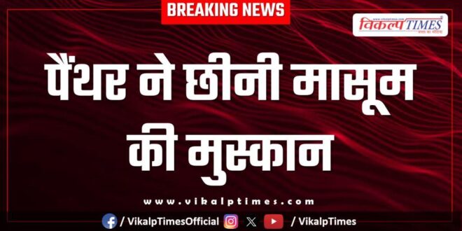Panther child sawai madhopur ranthambore news 12 Dec 25