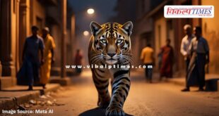 Panther enters populated area at midnight in sawai madhopur