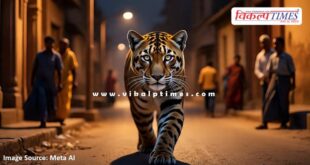 Panther movement in Gupteshwar hill area creates panic among people in bonli sawai madhopur