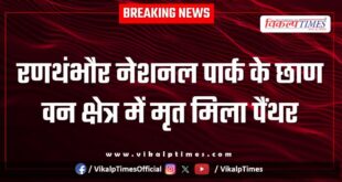 Ranthambore National Park Panther jungle Sawai Madhopur news 28 Dec 25