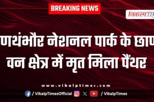 Ranthambore National Park Panther jungle Sawai Madhopur news 28 Dec 25