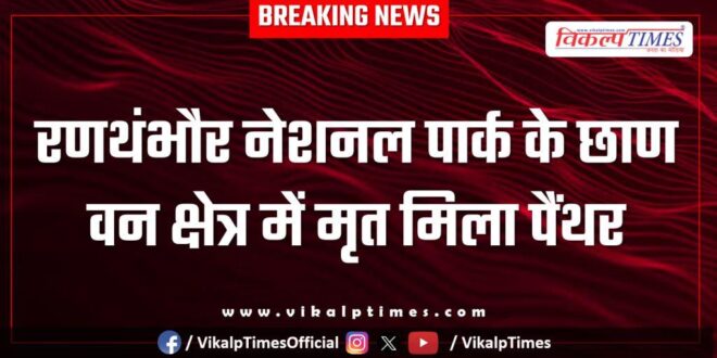 Ranthambore National Park Panther jungle Sawai Madhopur news 28 Dec 25