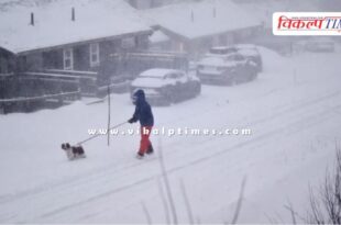 Snowstorm in Sweden, disrupts power supply
