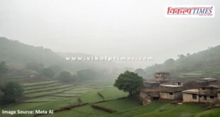 The weather changed at the end of the year in bonli Sawai madhopur