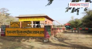 Tiger will be brought from Ranthambore in the new year