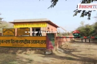 Tiger will be brought from Ranthambore in the new year