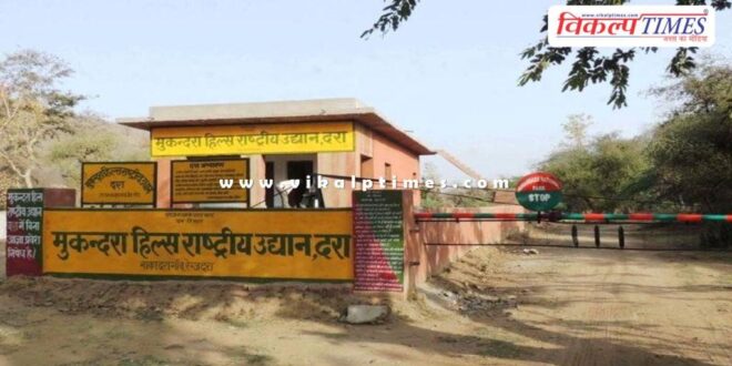 Tiger will be brought from Ranthambore in the new year