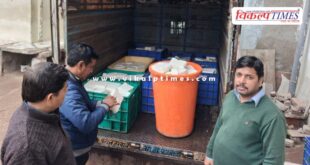 700 kg of adulterated cheese destroyed in jaipur