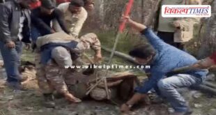 A 10-foot crocodile entered the village of kanwas in kota