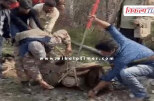A 10-foot crocodile entered the village of kanwas in kota