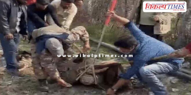 A 10-foot crocodile entered the village of kanwas in kota