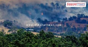 Australia fires destroy 300 buildings