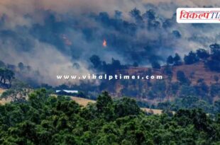 Australia fires destroy 300 buildings