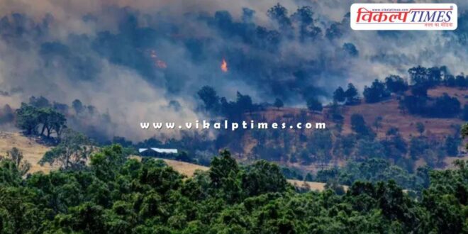 Australia fires destroy 300 buildings