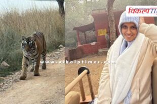 Badminton star Saina Nehwal witnessed the antics of tigers