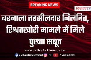 Barnala Tehsildar suspended Sawai Madhopur news 23 Jan 26