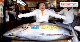 Bluefin tuna fish sells for nearly ₹29 crore