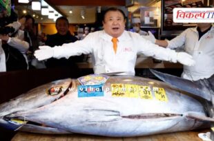 Bluefin tuna fish sells for nearly ₹29 crore