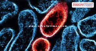 Central government has given this information on suspected cases of Nipah virus.