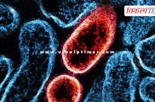 Central government has given this information on suspected cases of Nipah virus.