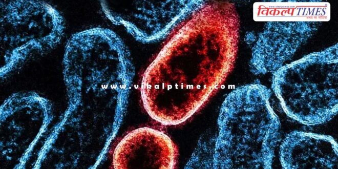 Central government has given this information on suspected cases of Nipah virus.
