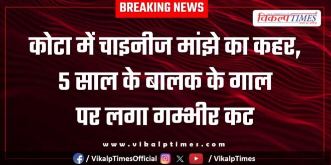 Chinese manjha wreaks havoc in Kota