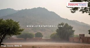 Fog and showers welcomed the New Year in bonli sawai madhopur