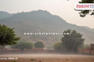 Fog and showers welcomed the New Year in bonli sawai madhopur