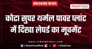 Leopard movement seen in Kota Super Thermal Power Plant