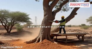 Rajasthann High Court imposed a fine of Rs 1 lakh on officials for tree felling in dausa