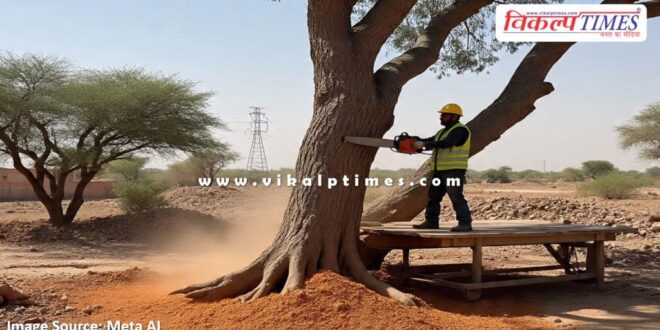 Rajasthann High Court imposed a fine of Rs 1 lakh on officials for tree felling in dausa