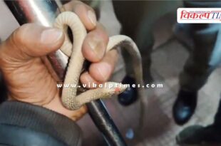 Snake enters daypdaya express train compartment in kota News